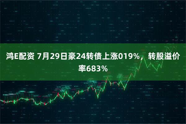 鸿E配资 7月29日豪24转债上涨019%，转股溢价率683%