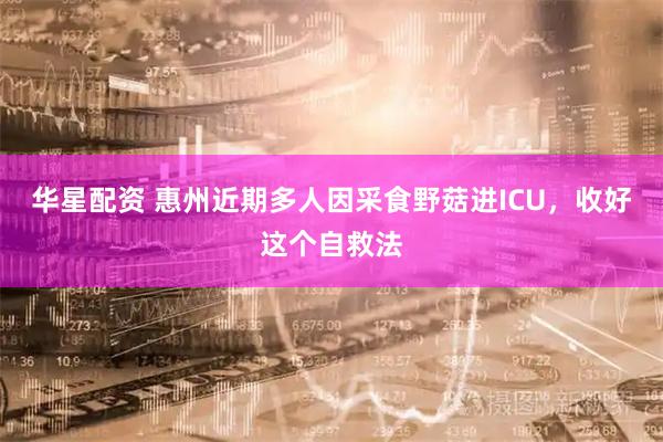 华星配资 惠州近期多人因采食野菇进ICU，收好这个自救法
